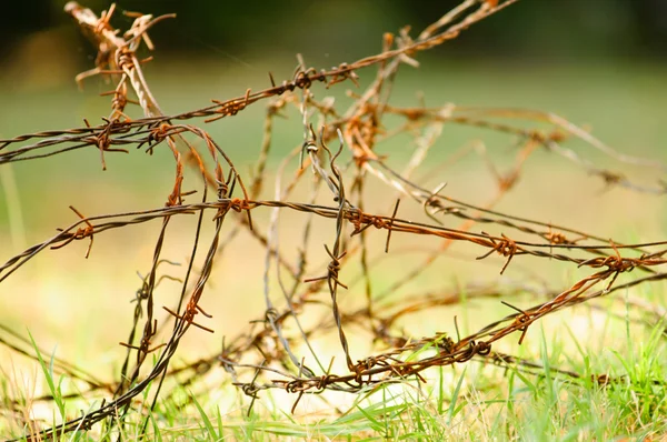 Barbed wire over green grass — Stock Photo, Image