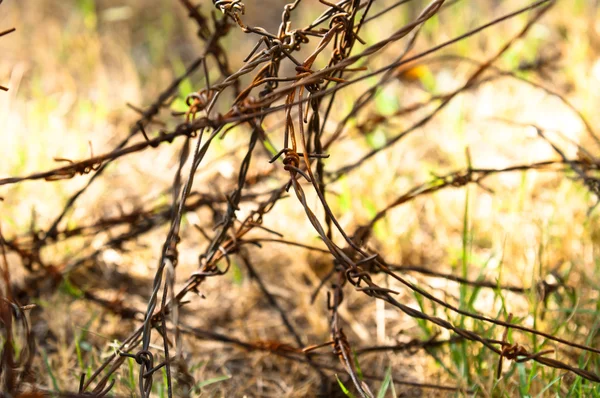 Barbed wires on apocalyptic background — Stock Photo, Image