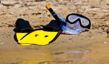 Goggles and flippers on the shore clipart