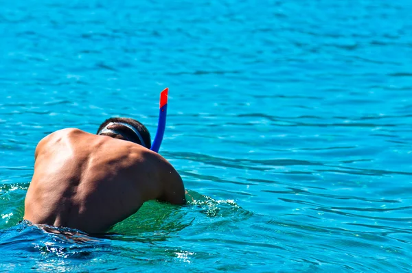 Tânăr mascul scufundându-se în mare — Fotografie, imagine de stoc