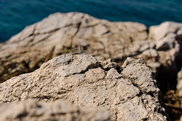 Grijze stenen op de oever van een oceaan — Stockfoto