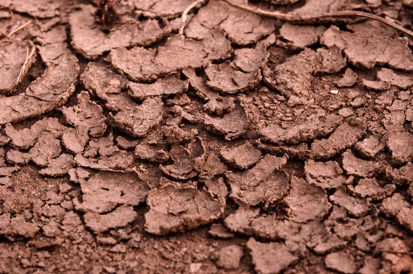 Droge bodem close-up voordat regen — Stockfoto