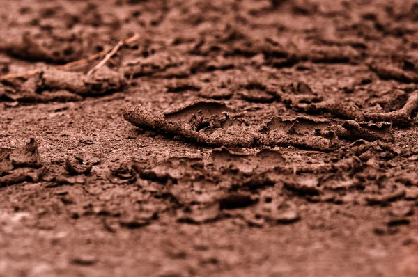 Zbliżenie suchej gleby przed deszczem — Zdjęcie stockowe