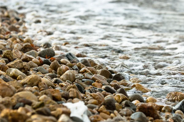 Stenen op de oever van een oceaan — Stockfoto