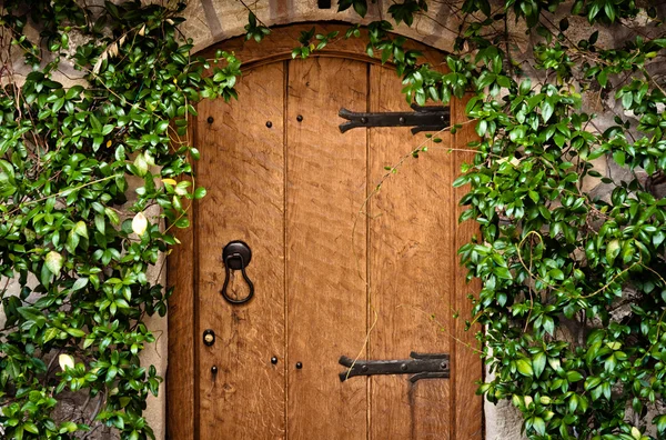 Tradiční dřevěné dveře s zelených rostlin — Stock fotografie