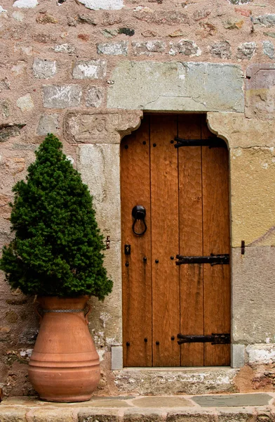 Traditionelle Holztür eines alten Gebäudes — Stockfoto