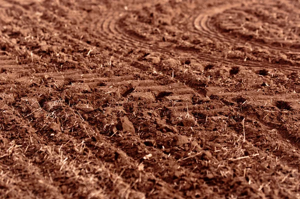 Suchá půda s odumřelých rostlin — Stock fotografie
