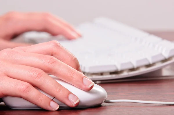 Ręce kobiety za pomocą myszy i klawiatury — Zdjęcie stockowe