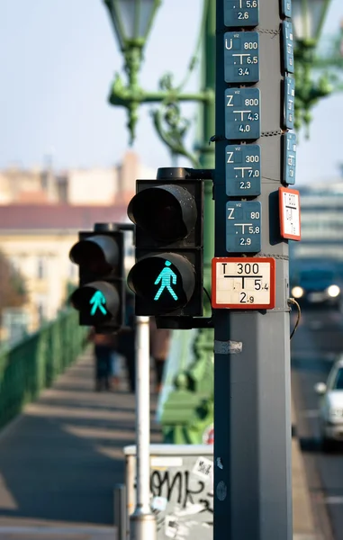 Lâmpada para pedestres na cidade — Fotografia de Stock