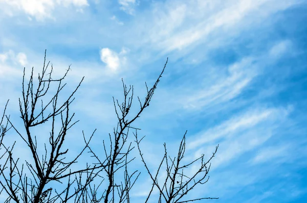 Cielo blu profondo — Foto Stock