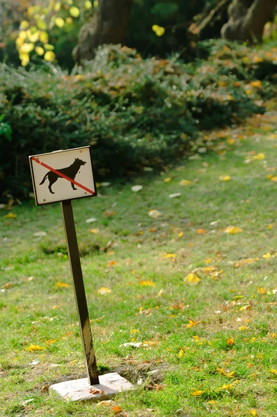 Uw hond niet hier wandelen — Stockfoto