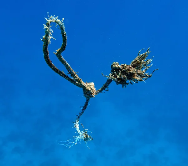 Broken anchor line — Stock Photo, Image