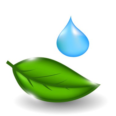 Water drop with green leaves illustration