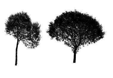  illustration of tree silhouettes