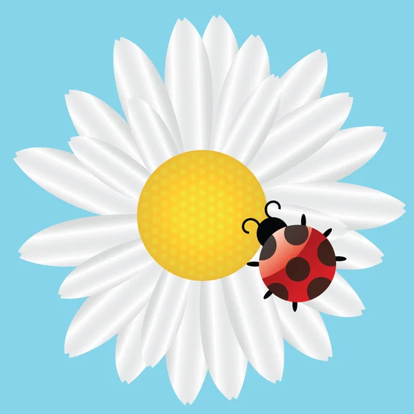 Stock image Ladybird on Daisy on blue background illustration