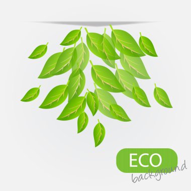 Eco leves background illustration