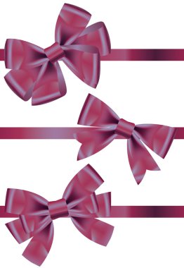  set of different types of purple satin ribbons with bows