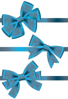  set of different types of blue satin ribbons with bows