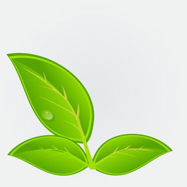 Environmental icon with plant illustration