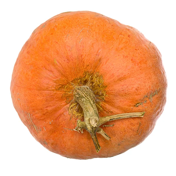 stock image Ripe orange pumpkin