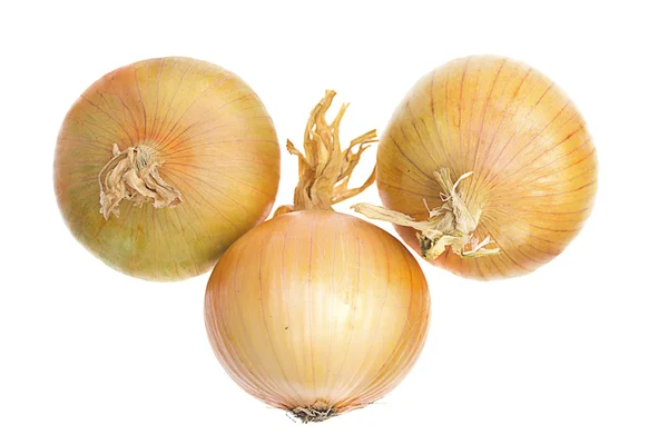 Stock image Onions isolated on a white background