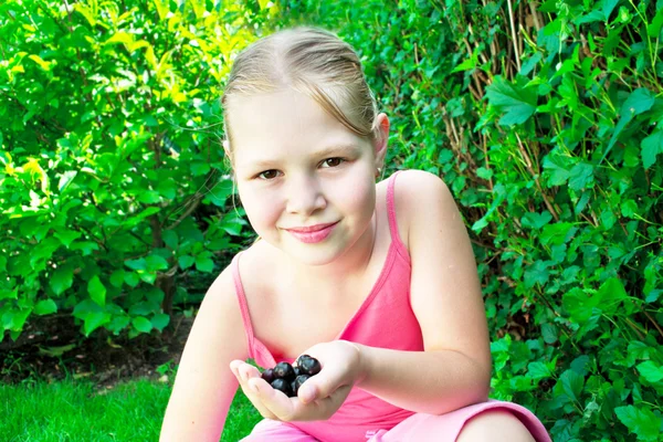 stock image Young girl is picking black currant.