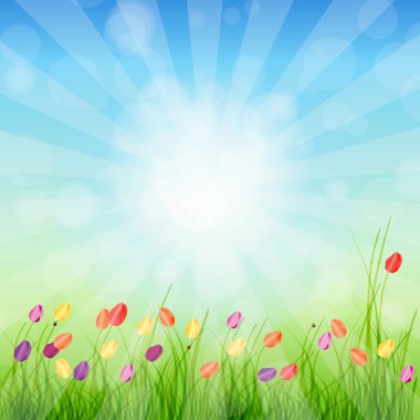 Summer Abstract Background with grass and tulips against sunny s clipart