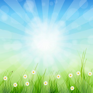 Summer Abstract Background with grass and tulips against sunny s clipart