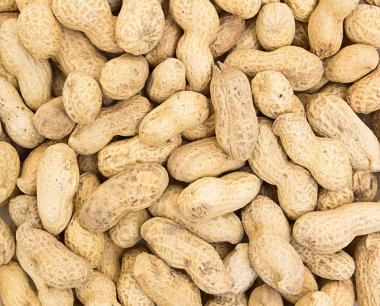 Peanut background clipart