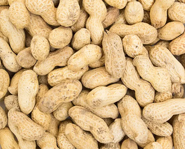 stock image Peanut background