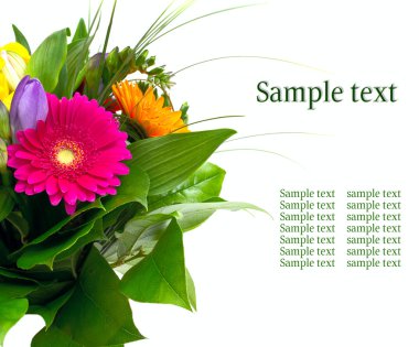 Beyaz arkaplanda izole edilmiş renkli çiçekler..