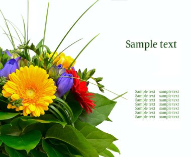 Beyaz arkaplanda izole edilmiş renkli çiçekler..