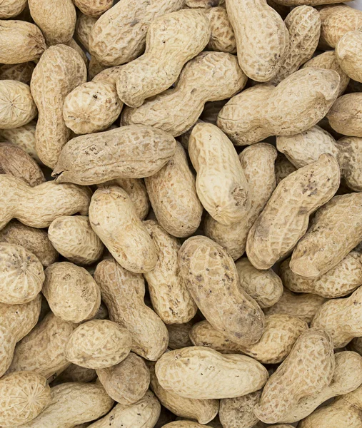 stock image Peanut background