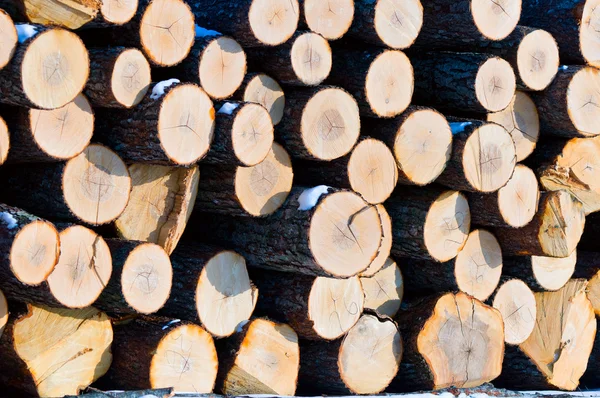 stock image Wooden wall of timber outdoors