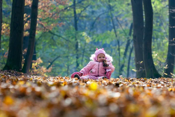 Bebé divertido jugando con hojas en el parque —  Fotos de Stock