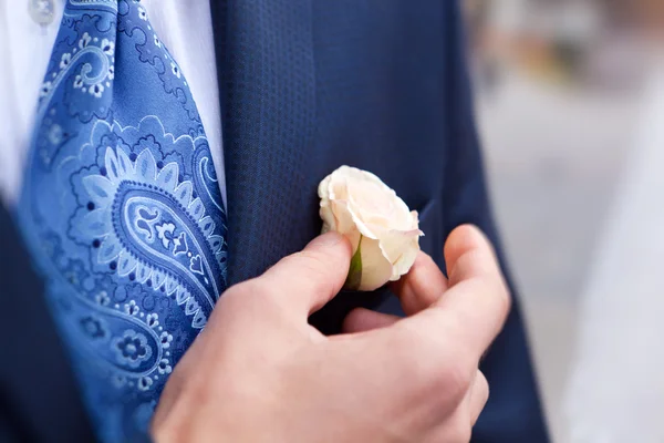Groom correcting rose in buttonhole — Stock Photo, Image