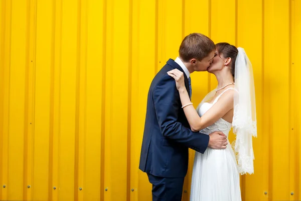 Mariée et marié baisers contre le mur — Photo