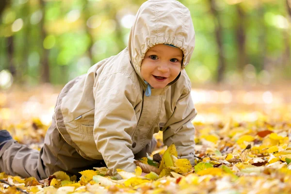 Piccolo bambino nel parco — Foto Stock
