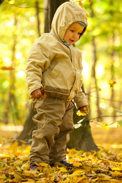 Mały chłopiec dziecko w parku — Zdjęcie stockowe