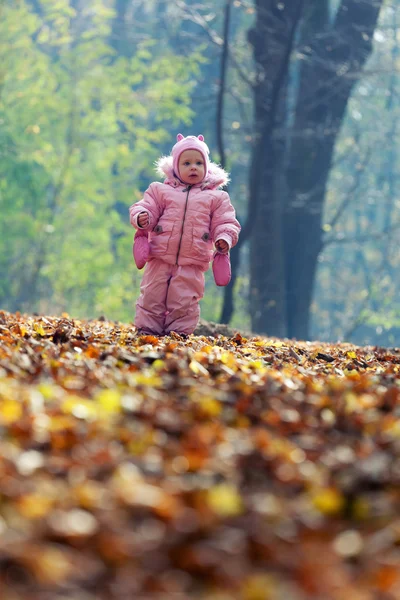 Funny baby spelar med blad i park — Stockfoto