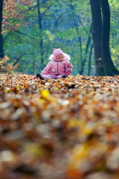 Bébé drôle jouant avec les feuilles dans le parc — Photo