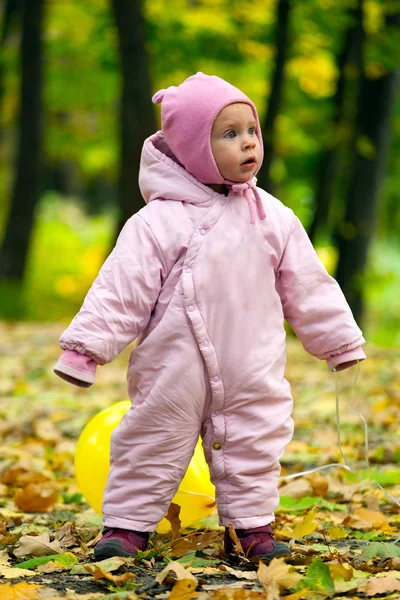 Babymeisje in de herfst bladeren — Stockfoto