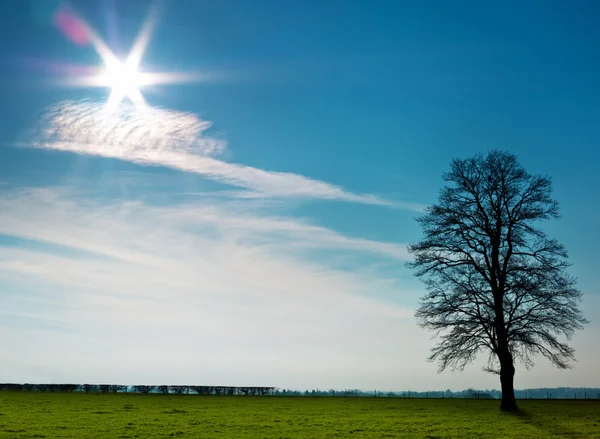 Sonbahar günü on ağacının — Stok fotoğraf