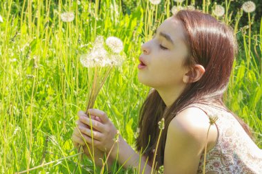 Little Girl Busy Blowing Dandelion Seeds In the Park clipart