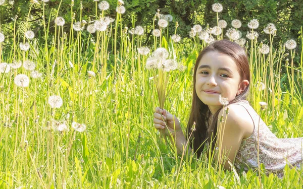 Little Girl Busy Blowing Dandelion Seeds In the Park — Stock Photo, Image