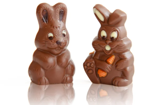 Дві шоколадні Пасхальний заєць — стокове фото