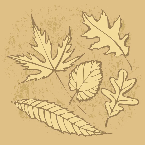 Autumnal leaf background — Stock Photo, Image