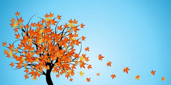 Sonbahar ile soyut ağaç yaprak — Stok fotoğraf
