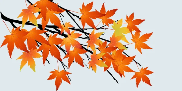 Αφηρημένη δέντρο με φθινόπωρο φύλλα — Φωτογραφία Αρχείου