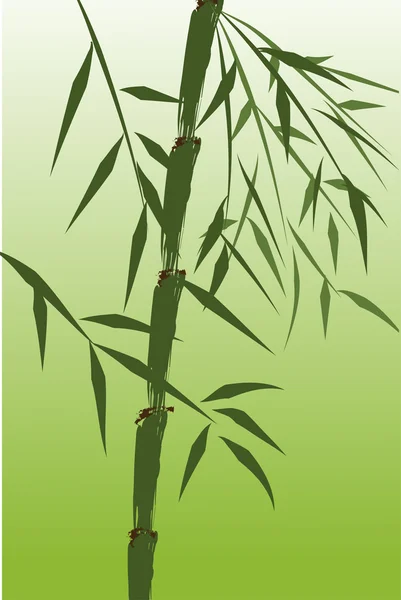 中国の竹の木の設計 — ストック写真